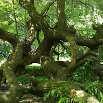 Malche Gaeste Und Tagungshaus 16 Daire