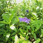 Daire Malche Gaeste Und Tagungshaus 16 *