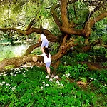 Malche Gaeste Und Tagungshaus 16 Bad Freienwalde