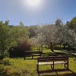 Malche Gaeste Und Tagungshaus 16 Daire *