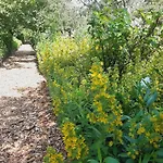 Malche Gaeste Und Tagungshaus 16 Daire