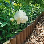 Malche Gaeste Und Tagungshaus 16 Daire *