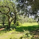 Malche Gaeste Und Tagungshaus 16 Daire