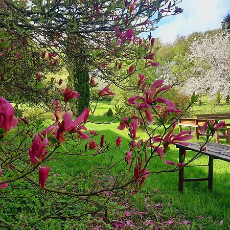 Malche Gaeste Und Tagungshaus 16 Daire Bad Freienwalde