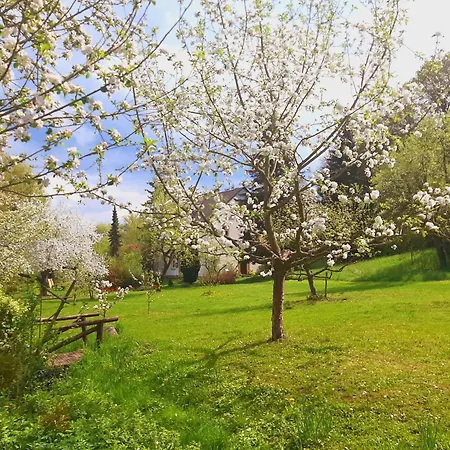 Malche Gaeste Und Tagungshaus 16 *