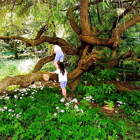 Malche Gaeste Und Tagungshaus 16 Bad Freienwalde