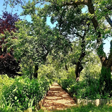 Malche Gaeste Und Tagungshaus 16