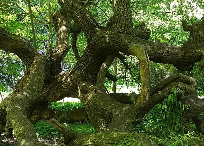 Malche Gaeste Und Tagungshaus 16 Lejlighed