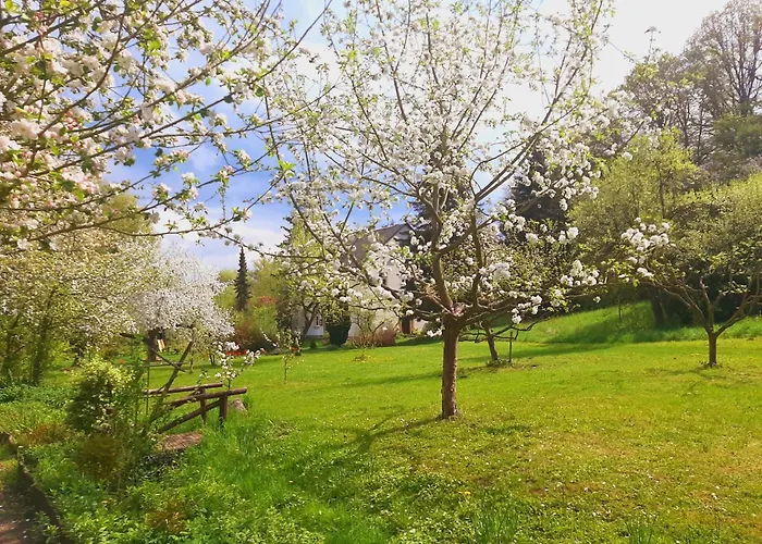 Malche Gaeste Und Tagungshaus 16 *