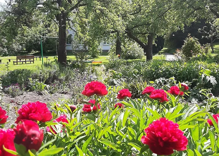 Lejlighed Malche Gaeste Und Tagungshaus 16 *