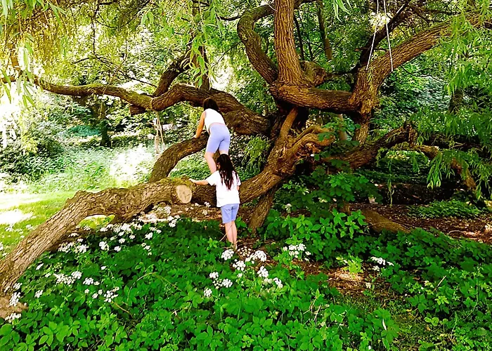 Malche Gaeste Und Tagungshaus 16 Bad Freienwalde