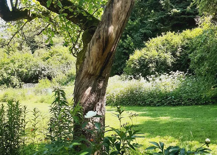 Malche Gaeste Und Tagungshaus 16 *