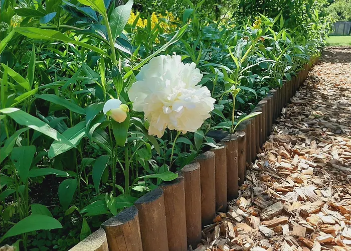 Malche Gaeste Und Tagungshaus 16 Lejlighed *