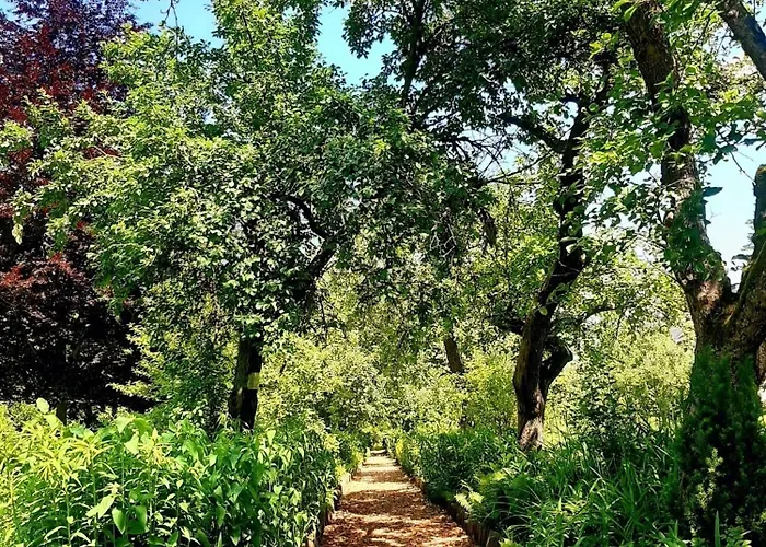 Malche Gaeste Und Tagungshaus 16